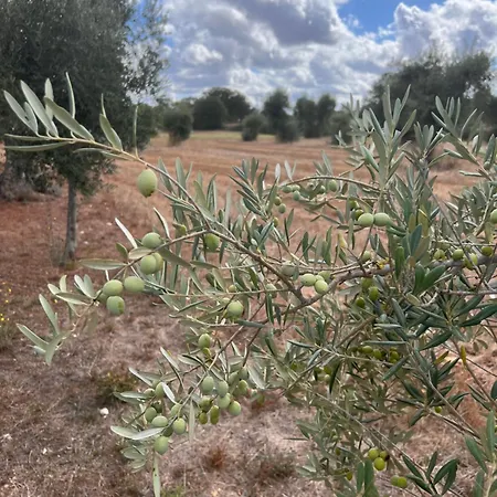 Masseria Battaglini