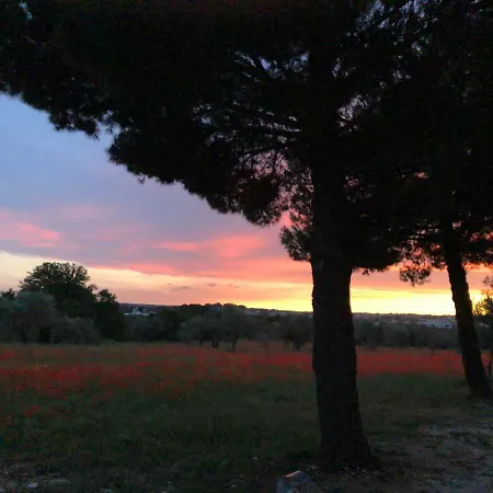 Masseria Battaglini Casa di campagna